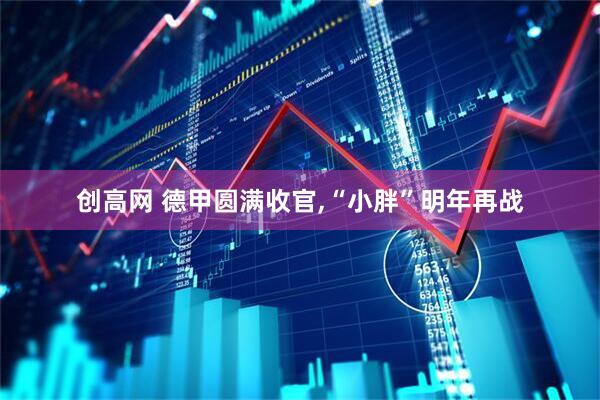 创高网 德甲圆满收官,“小胖”明年再战