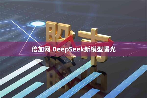 倍加网 DeepSeek新模型曝光