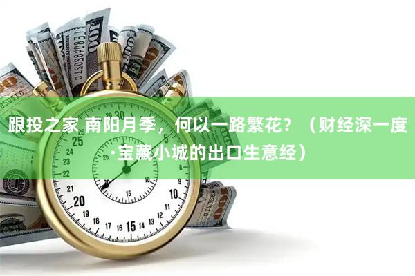 跟投之家 南阳月季,何以一路繁花?(财经深一度·宝藏小城的出口生意经)